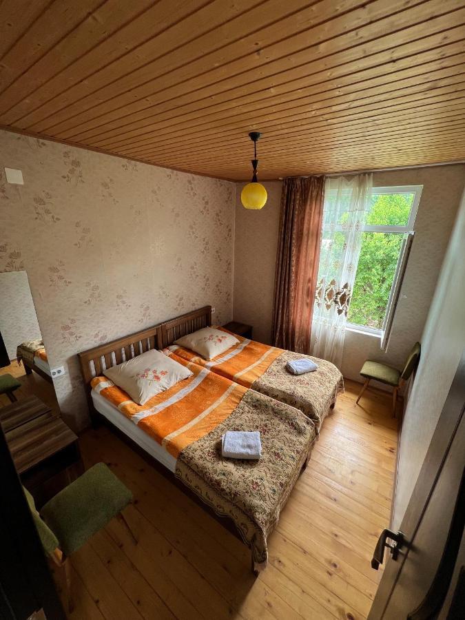 Barbara'S Eco-Cozy Guesthouse เมสเตีย ภายนอก รูปภาพ